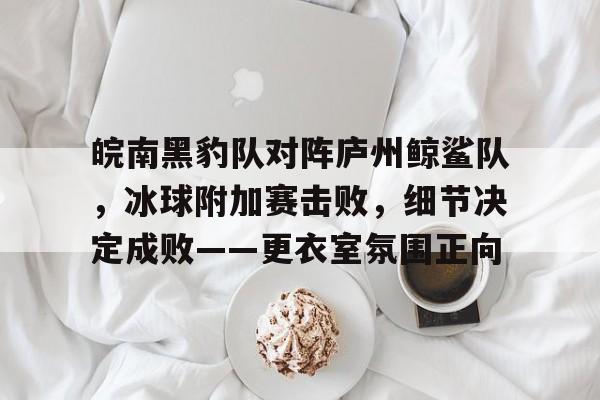 皖南黑豹队对阵庐州鲸鲨队，冰球附加赛击败，细节决定成败——更衣室氛围正向的简单介绍